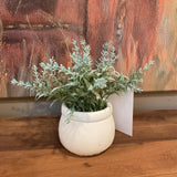 Greenery in White Pot