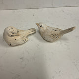 Pair of White and Black Birds