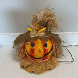 Fiber Optic Halloween Pumpkin