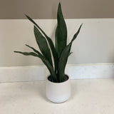 Greenery in White Planter