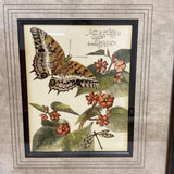 Pair of Butterly Prints