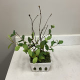 Leaf Greenery in White Container