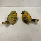 Pair of Yellow and Green Birds