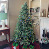 6'.5" Balsam Hill Fraser Fir Flip Pre-Lit Tree (R)