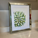 Succulent Art