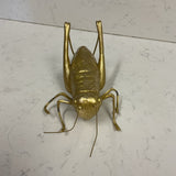 Gold Cricket