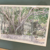 Framed Lithograph of " The Banyan Tree", Key West