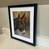 Donkey Print