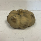 Small Pumpkin