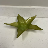 Green Starfish Bowl