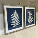 Pair of Fern Blue & White Prints