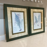 Pair of Botanical Prnts