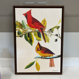 "Cardinal" by James Audubon Charlton Home