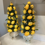Pair of Lemon Topiaries
