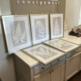 Set of 5 Uttermost Moonlight Ferns Framed Art