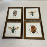 Set of 4 Insect Prints
