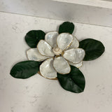 Oyster Shell Magnolia Art