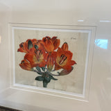 Set of 4 Botanical Prints