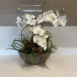 White Orchid Arrangement