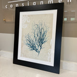 Teal Seaweed Print