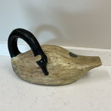 Swan