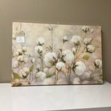 Cotton Canvas