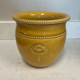 Yellow Ceramic Planter