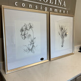 Pair of Uttermost Floral Sketches