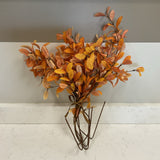 Orange Foilage