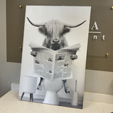 Highland Funny Cow on Canvas