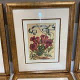 Set of 6 Botanical Art Prints