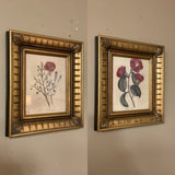 Pair of Floral Prints