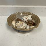 Pottery Bowl w/Shells FIRM