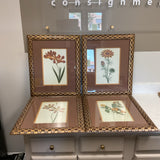 Set of 4 Green and Gold Botanical Art
