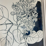 Set of 4 Napa &  Garden Studio Floral Sketches in White Frames
