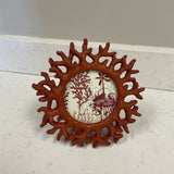 Coral 4x4 Frame
