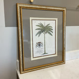 Coat of Arms Palm Print