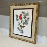Cardinal Print by Anne Worsham Richardson