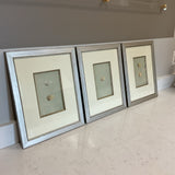 Set of 3 Framed Bird Egg Art