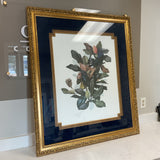 Magnolia Boat Tailed Grackles Art