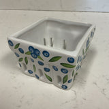 Blueberry Basket