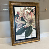 Rhododendrun Botanical Art