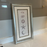 Shell Print Art