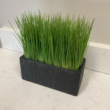 Crate & Barrel Greenery in Grass