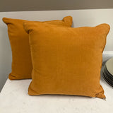 Pair of Orange Pillows