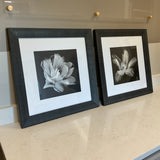Pair of Black & White Floral Art