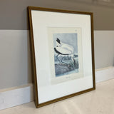 Wood Ibis Print
