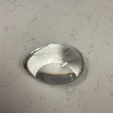Kosta Boda Crystal Etched Feather Paperweight