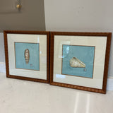 Pair of Lyndi Lende Shell Prints