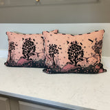 Pair of Christian Lacroix Pillows